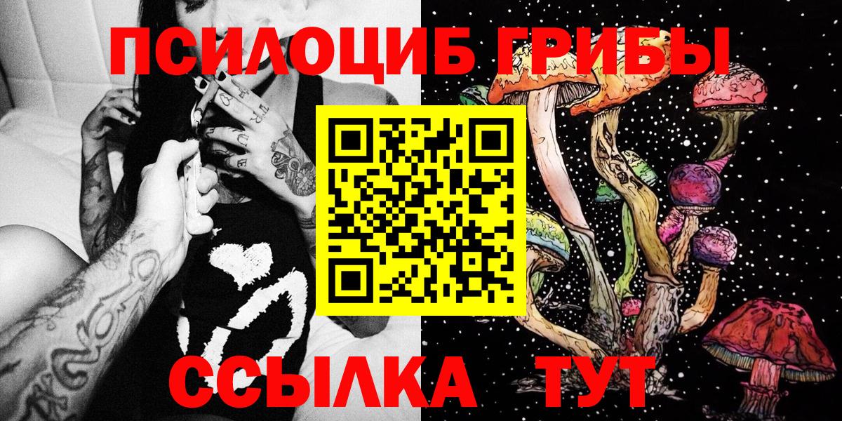 Псилоцибиновые грибы Cubensis Домодедово